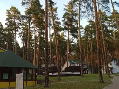 Park-otel Berendey - 17