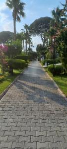 Zena Resort - 35