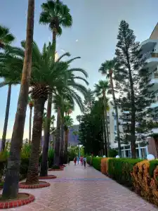 Tui Blue Grand Azur - 8