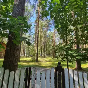 Zagorodnayy Klub Lesnaya Skazka - 46