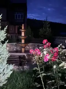 S Lechebnymi Vannami MIni-hotel - 42