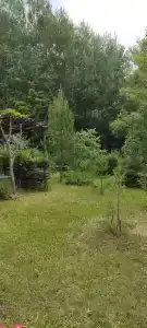 Дубрава - 29
