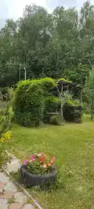 Дубрава - 11