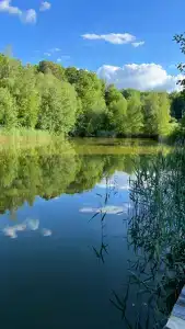 Guest house Karpolov Park - 10