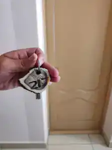 Belovezhskaya pushcha №2 - 71