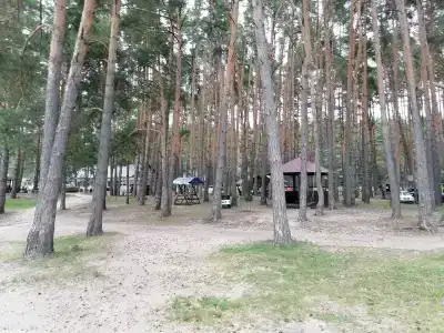 Park semeynogo otdyha Andreevskiy - 62