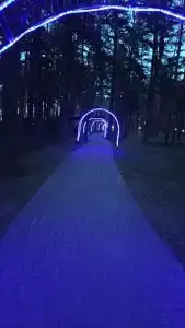 Narochanka Sanatorium - 8