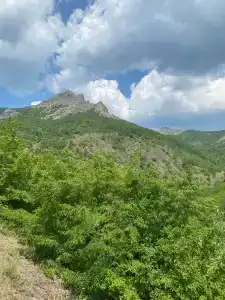Uchebno-ozdorovitelnyy etnokulturnyy tsentr Svetoch - 75