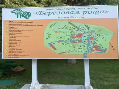 Berezovaya roshcha - 19