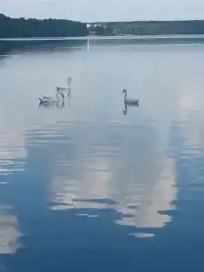 Narochanka Sanatorium - 70