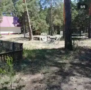 Zona otdyha Turist - 10
