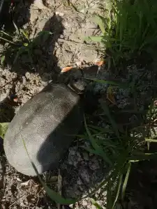 Holiday Park Sedmoe Nebo - 73