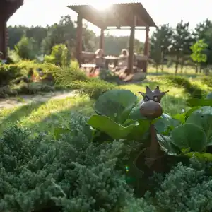 Guest house Lesnoy Edem - 25