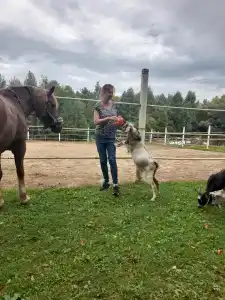 Belaya loshad Tourist base - 18