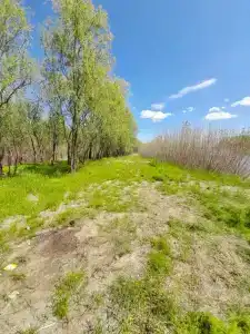 Zvezda na Ahtube - 77