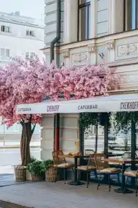 Chekhoff Moscow Curio Collection by Hilton - 27