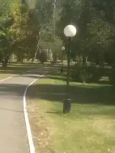 Berezovaya roshcha - 84