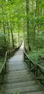 GU Sanatorium Yunost - 8