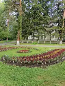 Sanatorium Sosnovyy bor - 42