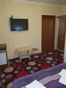 Serebrannyj Vek Pansionat - 28