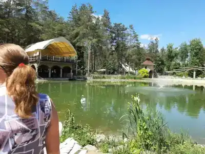 Lesnaya skazka - 37
