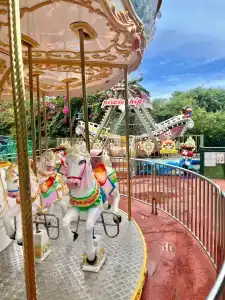 Botanik Platinum - 53