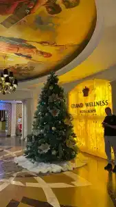 Grand Wellness Novahovo & Spa - 32