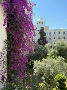 Andriake Beach Club - 16