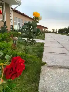 Курортный отель Каменское - 21