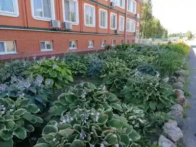 Alexandrovskaya Sloboda - 37