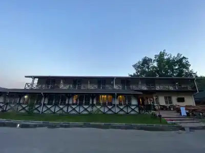 Березка - 18