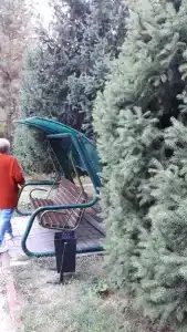 Koktem Sanatorium - 92