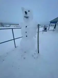 Kazaki Tourist base - 21