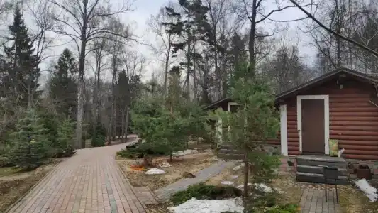 Эко Березовая роща - 95