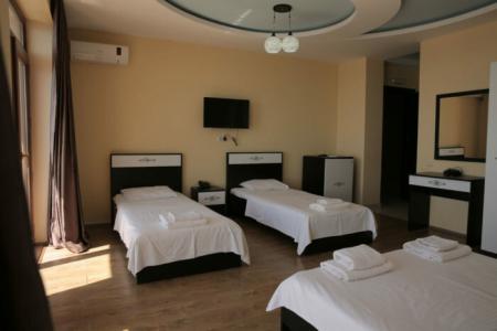 Guria Palace - 19