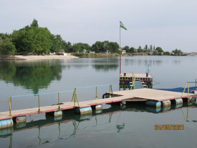 Sazan - 26