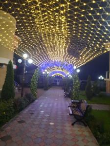 Гостиничный комплекс Джами - 49