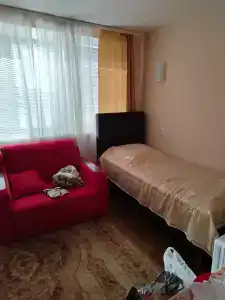 Belovezhskaya pushcha №2 - 56