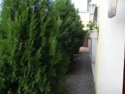 Fanni Veronika - 14