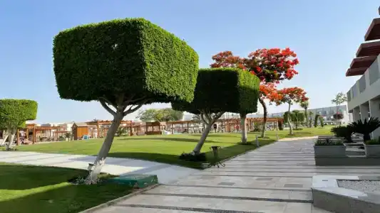 Sunrise Crystal Bay Resort -Grand Select - 5