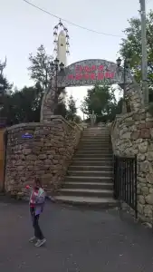 Белые журавли - 45