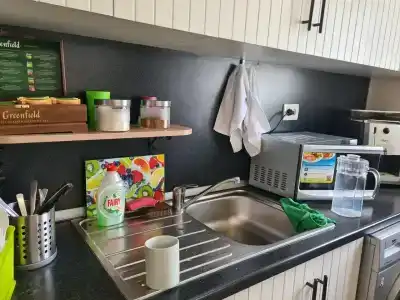 Democrat on Fontanka 104 2K - 29