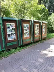 Solontsovo - 21