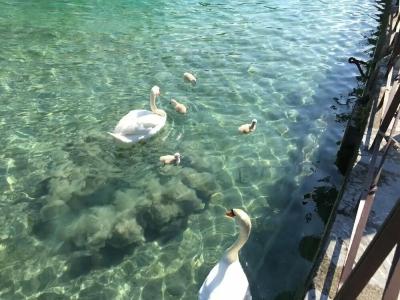 Mercure Annecy Centre - 20