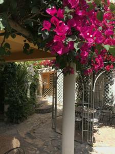 Villas D. Dinis Charming Residence - Adults Only - 14
