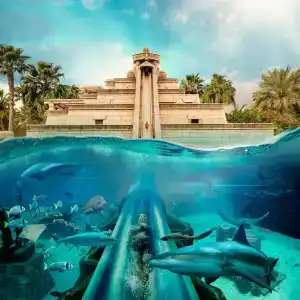 Atlantis, The Palm - 14