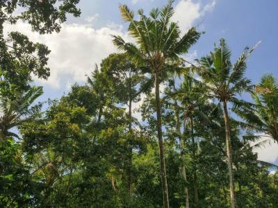Gunung An Retreat - 29
