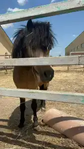 Kazaki Tourist base - 41