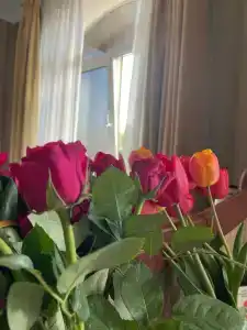 Парк-Замковый - 69