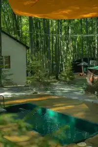 Baza Otdykha Monte-Karlo - 68